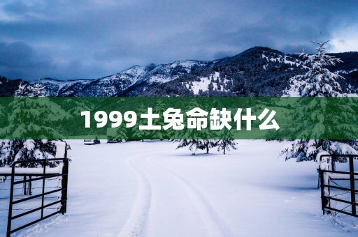 1999土兔命缺什么