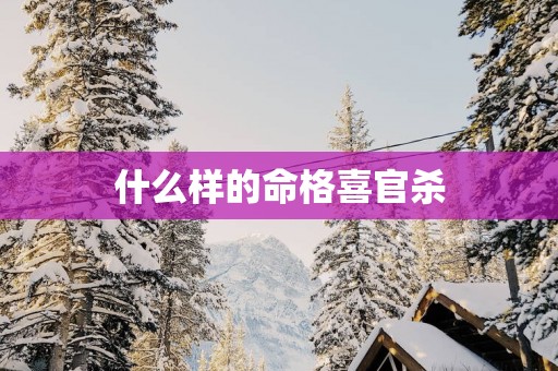 什么样的命格喜官杀