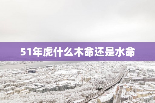 51年虎什么木命还是水命