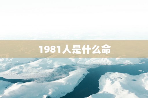 1981人是什么命
