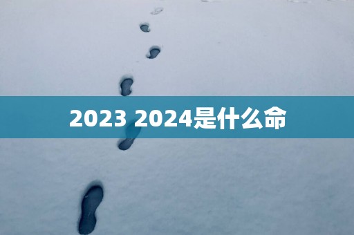 2025 2025是什么命