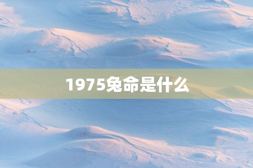 1975兔命是什么