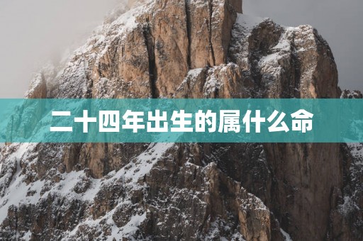 二十四年出生的属什么命