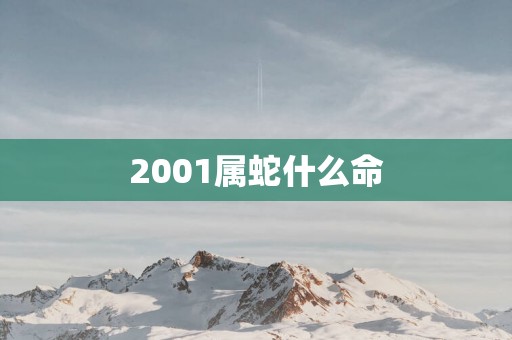 2001属蛇什么命