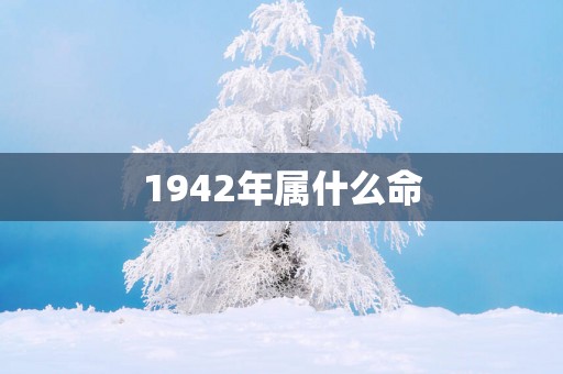 1942年属什么命