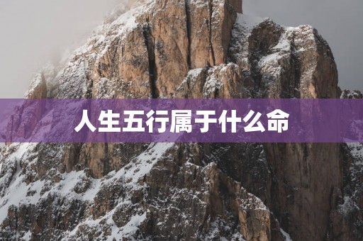 人生五行属于什么命