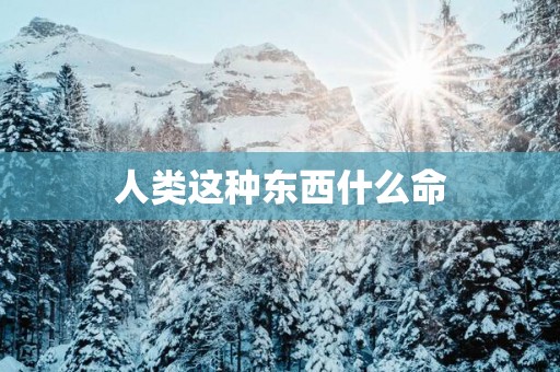 人类这种东西什么命