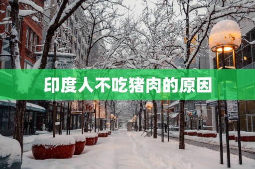 印度人不吃猪肉的原因