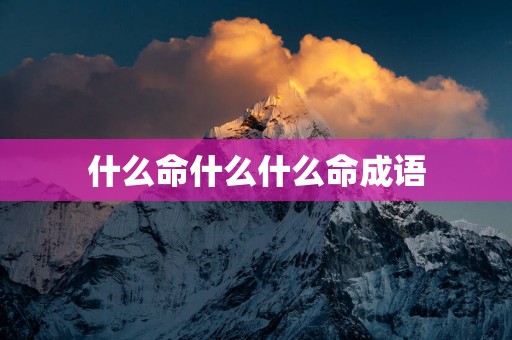 什么命什么什么命成语