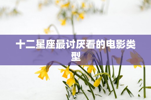 十二星座最讨厌看的电影类型
