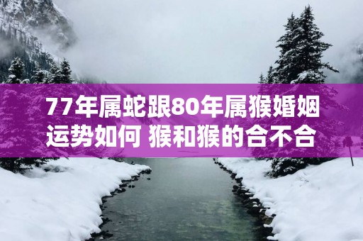 77年属蛇跟80年属猴婚姻运势如何 猴和猴的合不合