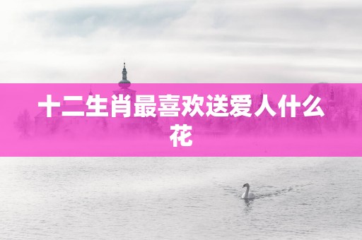 十二生肖最喜欢送爱人什么花
