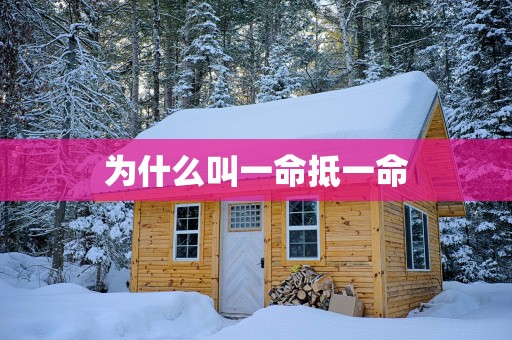 为什么叫一命抵一命