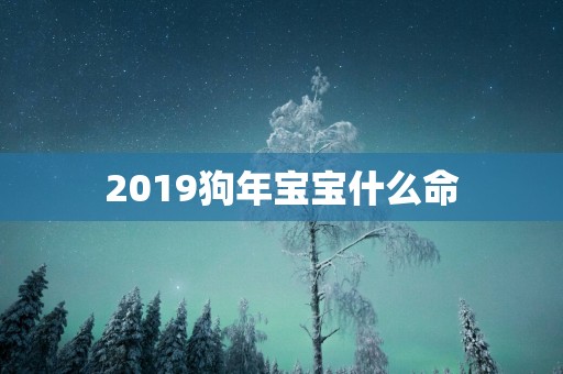 2019狗年宝宝什么命