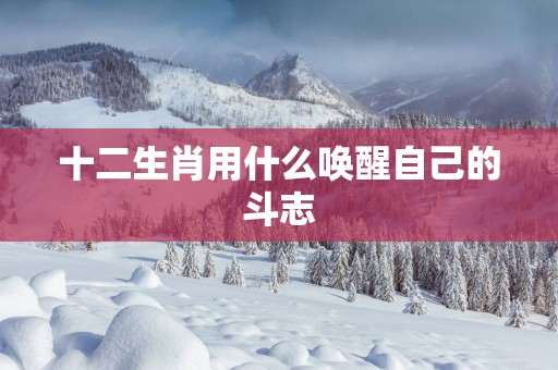 十二生肖用什么唤醒自己的斗志