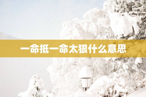 一命抵一命太狠什么意思