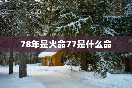 78年是火命77是什么命