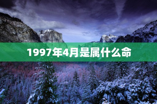 1997年4月是属什么命