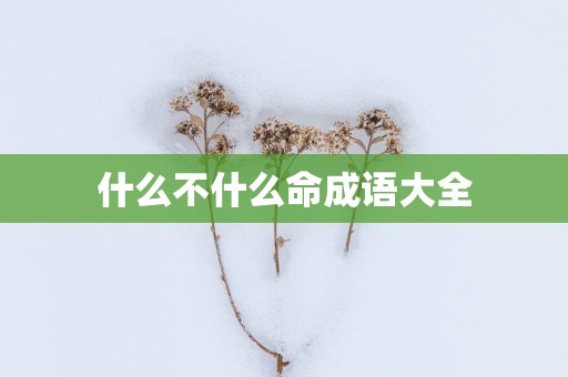 什么不什么命成语大全