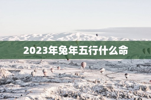 2025年蛇年五行什么命