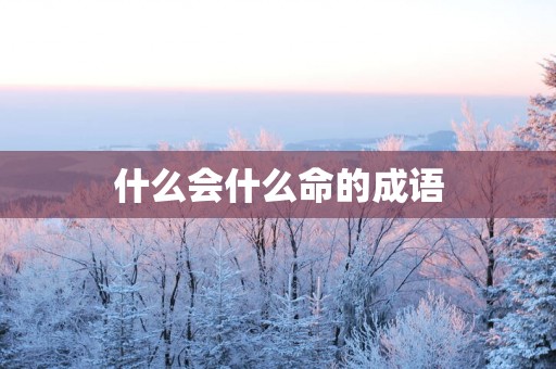 什么会什么命的成语