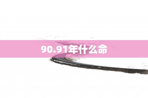 90.91年什么命