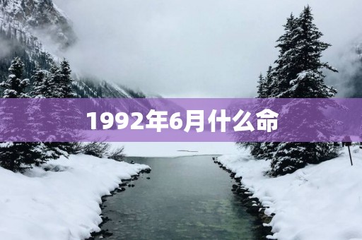 1992年6月什么命
