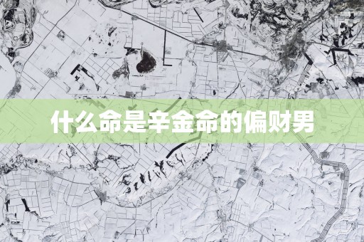 什么命是辛金命的偏财男