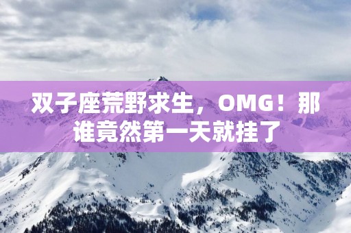双子座荒野求生，OMG！那谁竟然第一天就挂了