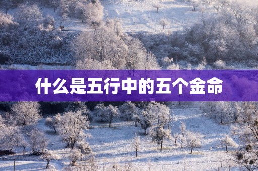 什么是五行中的五个金命