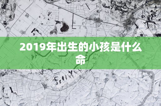 2019年出生的小孩是什么命