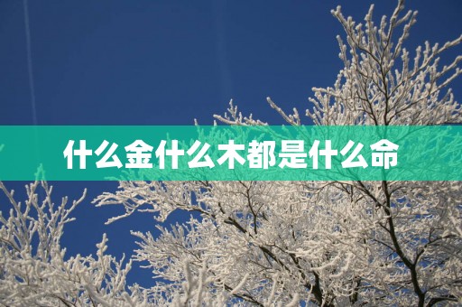 什么金什么木都是什么命