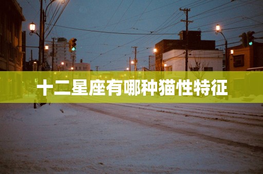 十二星座有哪种猫性特征