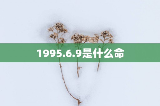 1995.6.9是什么命