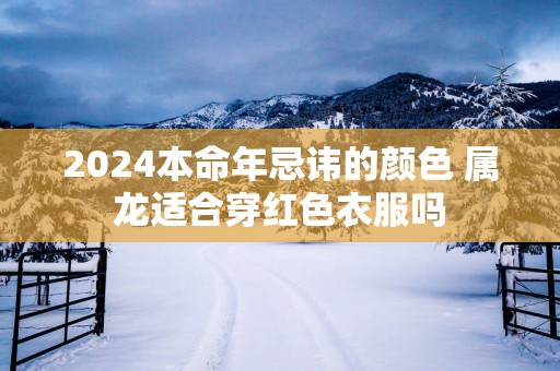 2025本命年忌讳的颜色 属龙适合穿红色衣服吗