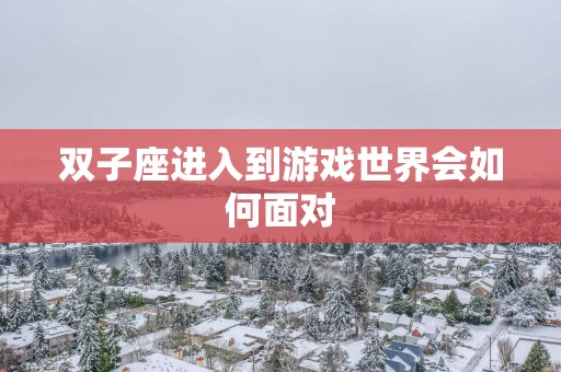 双子座进入到游戏世界会如何面对