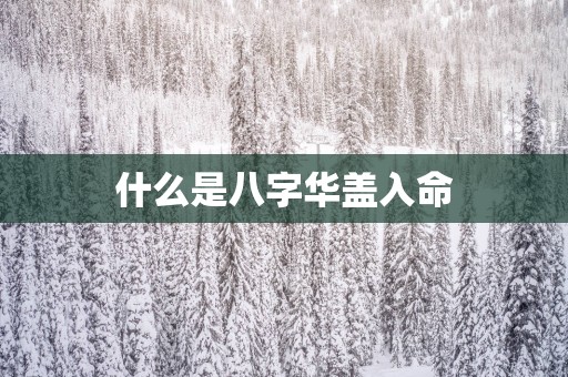 什么是八字华盖入命