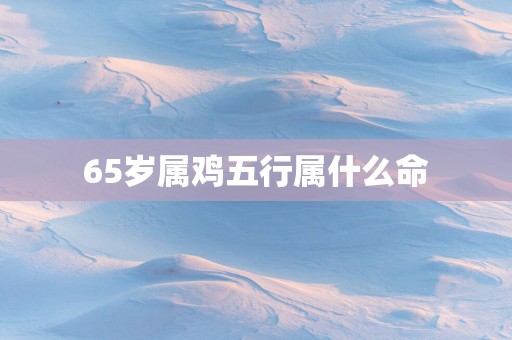 65岁属鸡五行属什么命