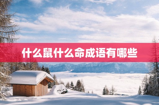什么鼠什么命成语有哪些