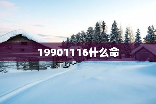 19901116什么命