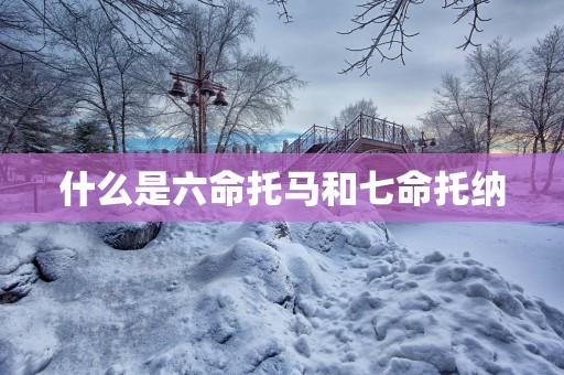 什么是六命托马和七命托纳