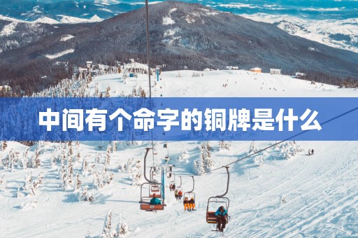 中间有个命字的铜牌是什么