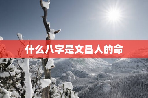 什么八字是文昌人的命