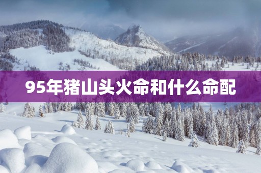95年猪山头火命和什么命配