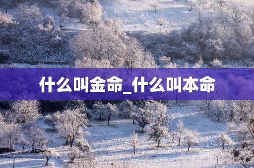 什么叫金命_什么叫本命