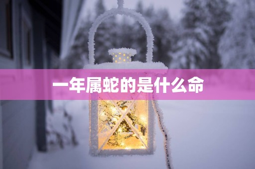一年属蛇的是什么命