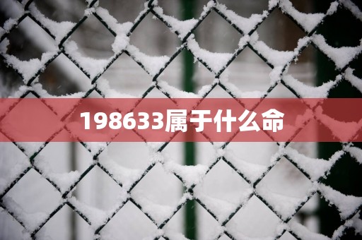 198633属于什么命