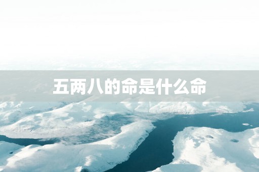 五两八的命是什么命