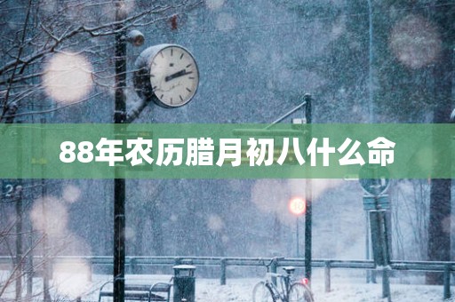 88年农历腊月初八什么命