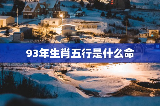 93年生肖五行是什么命